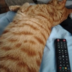 84d497b6e463fc2ce3db77f9e3d6f277_0