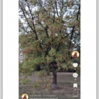 Screenshot_20250903_093223_com_android_chrome_ChromeTabbedActivity