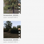 Screenshot_20250903_093114_com_android_chrome_ChromeTabbedActivity