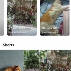 Screenshot_20250903_092913_com_google_android_youtube_MainActivity