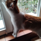 926dbd67eb76ce21e77e3b25fe371b9a_0