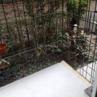 a101b3ff75b9d946728f25b71abad02b_0