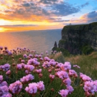 5d0bc825e20a96f8a4801428af6023bf_0