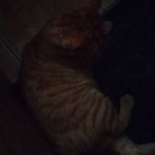 ec29b2a76fff25d12a749f04a44c7a7a_0