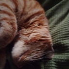 df2fc6d4652dc8e14d9fc07d6bc28237_0