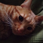 4ebc1aee9650b624e91244566f5943dd_0