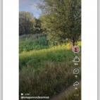 Screenshot_20250903_142007_com_android_chrome_ChromeTabbedActivity