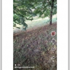 Screenshot_20250903_141937_com_android_chrome_ChromeTabbedActivity