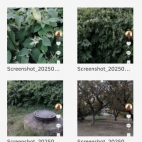 Screenshot_20250903_141518_com_android_chrome_ChromeTabbedActivity