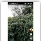 Screenshot_20250903_141512_com_android_chrome_ChromeTabbedActivity