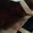 2d6327140c5fe268c8f68c3d4477a2e1_0