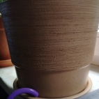 bd253f235ef9ae74d5c49ab93bf0d25e_0