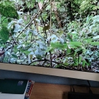 07b994f0859f47dbad3eac393b40ade6_0