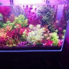 546275778_25064532223185827_1400767178076782244_n