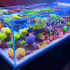 546156029_1359198945814872_2292770448257189350_n