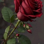 545652097_10233911192395477_588502850532362103_n