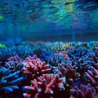 545617494_1191789042981466_1672894511996772577_n