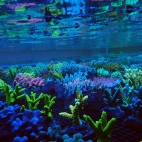 545607096_1191789002981470_1722951817880515857_n