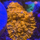 545600723_4286759841554886_8765282695733861182_n