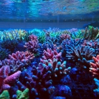 545595261_1191789016314802_5226721741131116711_n (1)