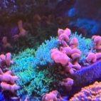 545576862_4286759714888232_7525688062690381986_n