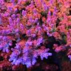 545547950_1404093705050954_5687949470960788741_n