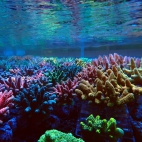 545507502_1191789132981457_3443500639435737973_n