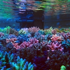 545449873_1191788936314810_8123765828710003646_n (1)