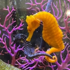 545411010_10224829668407921_7967011509695777966_n