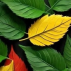 545409725_10233911184515280_1623373582011379770_n