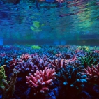 545401657_1191788966314807_4000737167579164090_n