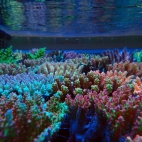 545392408_1191789172981453_8330892666890683578_n