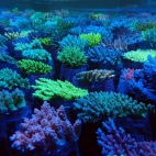 545374639_1191788932981477_670254714761641340_n