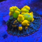 545363354_4286759788221558_123597448666192366_n