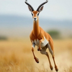 545341264_10233890062707248_5239518418383596698_n