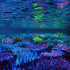 545337309_1191789102981460_7841809648122610723_n