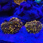 545324482_4286760544888149_8098116146836730012_n