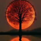 545277799_122225362352144125_2435659826287967260_n