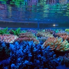 545274468_1191788972981473_5109720291316893945_n