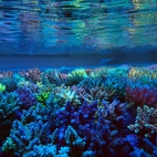 545027363_1191789029648134_3722987888147481905_n