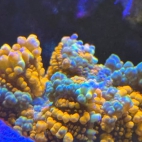 544862229_4286760538221483_2481051923477545571_n