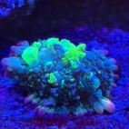 544838015_4286759751554895_260270889807897637_n