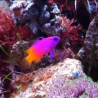 542690778_24525551273797535_3790180898735028533_n