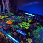 541628091_18373593133195017_5225899470993281697_n