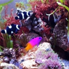 541600600_24525551647130831_2726769062446386865_n