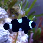 540792826_24525550110464318_7182380239915182339_n