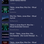 Screenshot_20250911_103921_com_yy_musicfm_global_SearchActivity