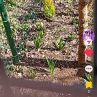 Screenshot_20250911_090609_com_zhiliaoapp_musically_DetailActivity