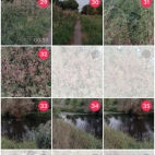 Screenshot_20250911_080501_com_zhiliaoapp_musically_SAAActivity
