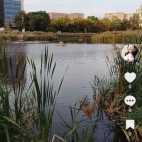 Screenshot_20250911_080305_com_zhiliaoapp_musically_DetailActivity